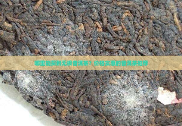 哪里能买到无极轩普洱茶