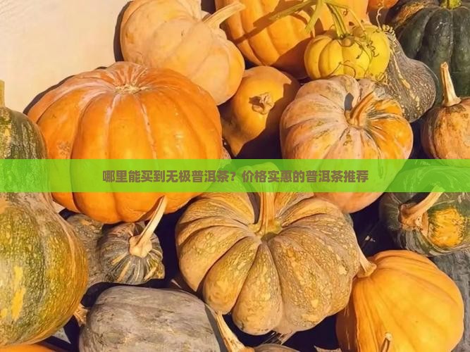 哪里能买到无极轩普洱茶