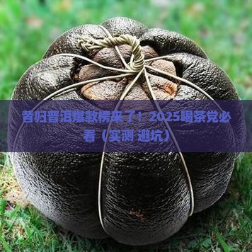 昔归普洱爆款榜
