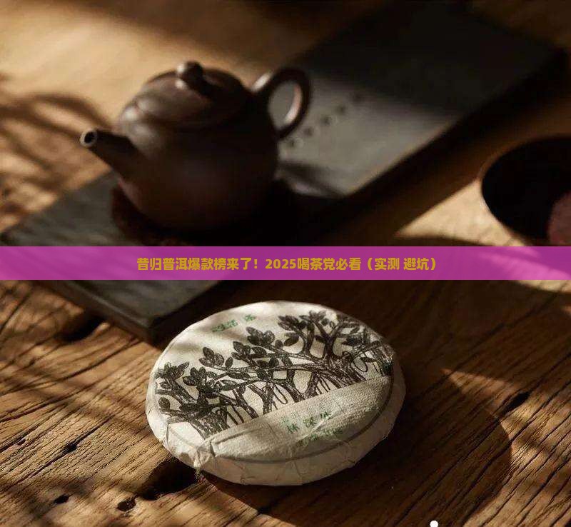 昔归普洱爆款榜