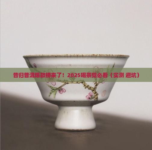 昔归普洱爆款榜