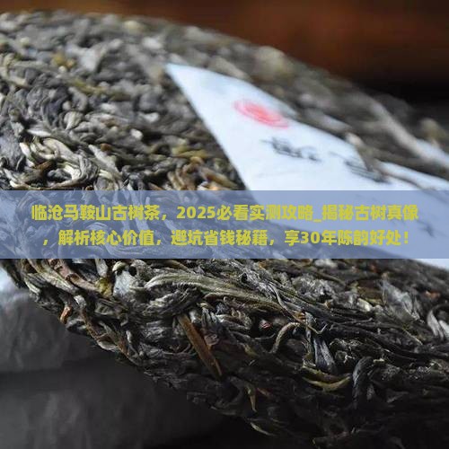 临沧马鞍山古树茶