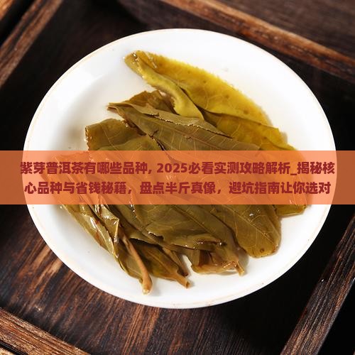 紫芽普洱茶有哪些品种