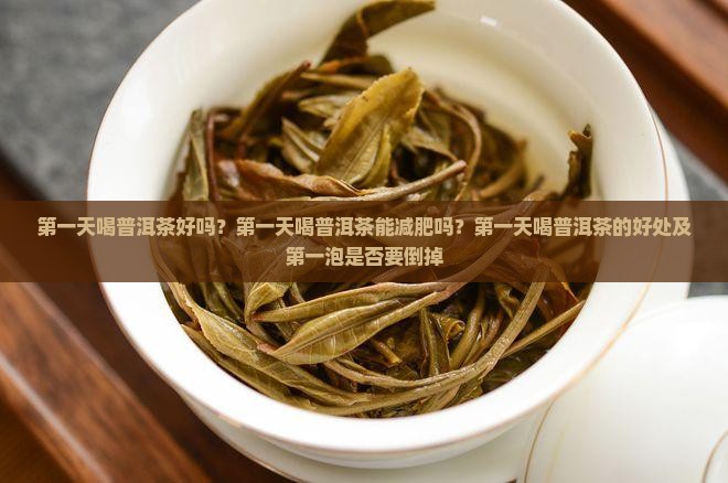 第一天喝普洱茶