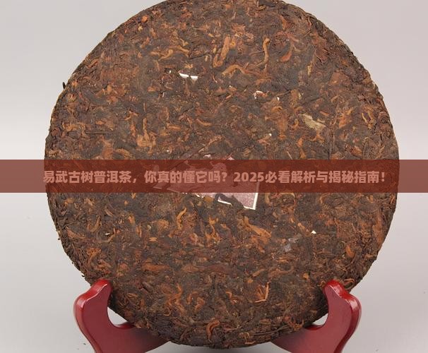 古树普洱茶易武茶