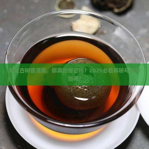 古树普洱茶易武茶