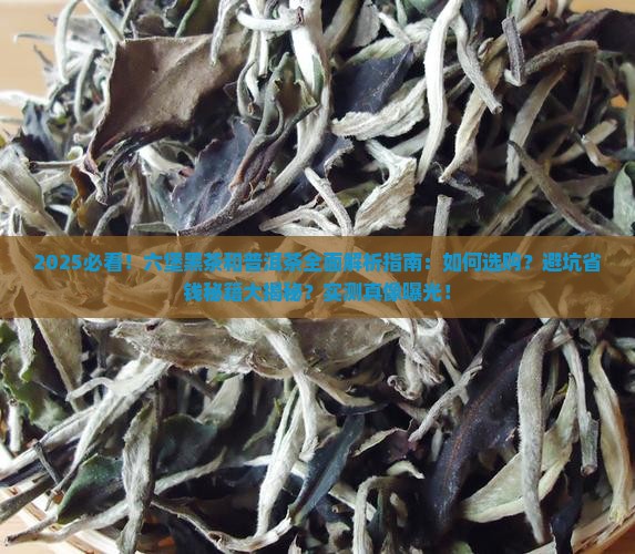 六堡黑茶和普洱茶