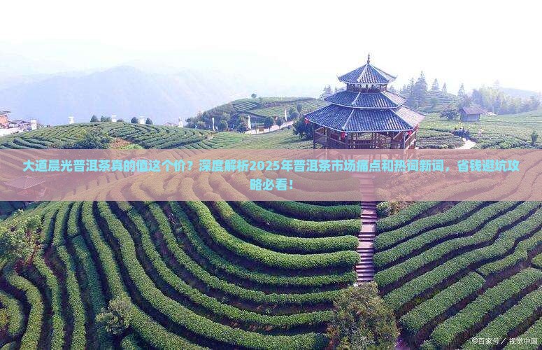 大道晨光普洱茶