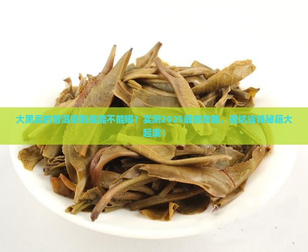 大黑卖的普洱茶能喝吗 大黑卖的普洱茶能喝吗
