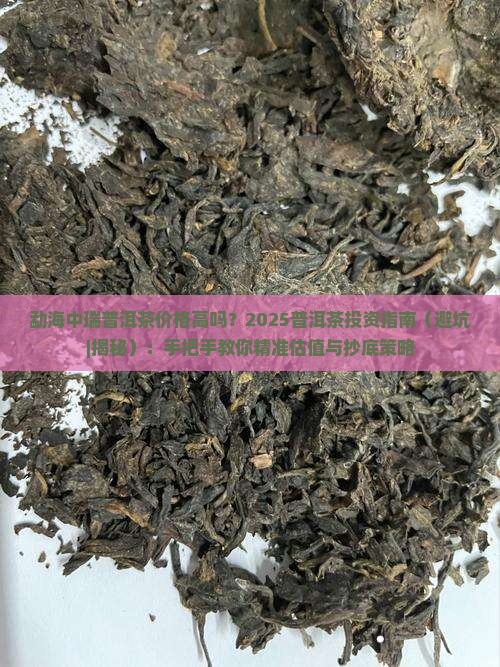 勐海中瑞普洱茶价格