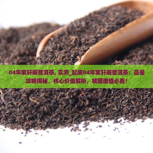 04年紫轩阁普洱茶 04年紫轩阁普洱茶