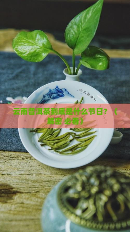 云南普洱茶是啥节日 云南普洱茶是啥节日