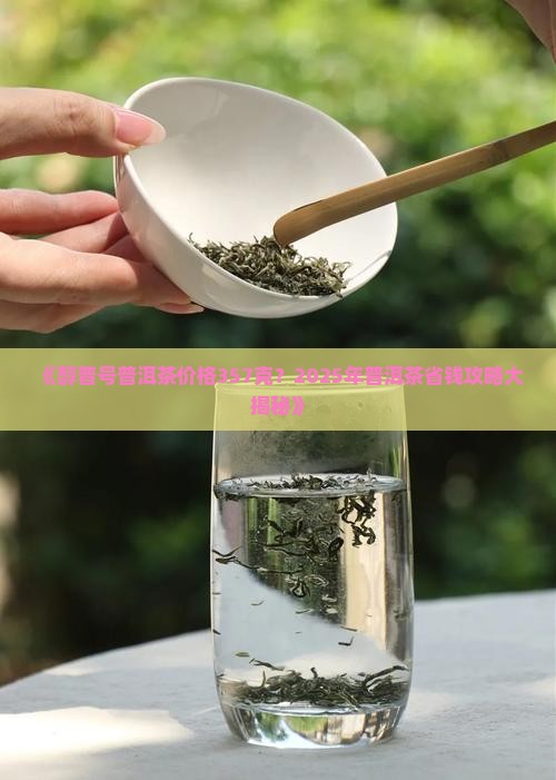 醇普号普洱茶价格357克