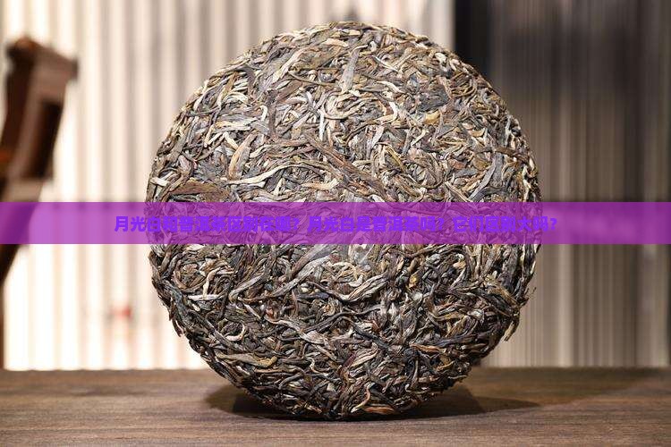 月光白和普洱茶区别