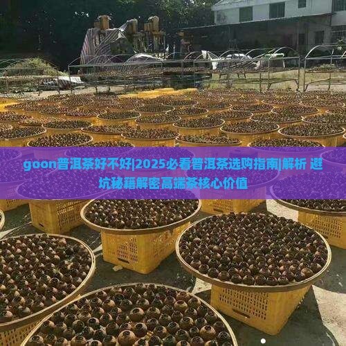 goon普洱茶好不好