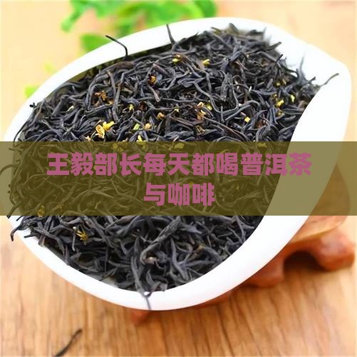 王毅部长每天都喝普洱茶