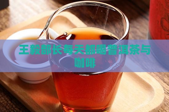 王毅部长每天都喝普洱茶