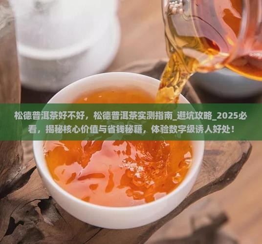 松德普洱茶好不好