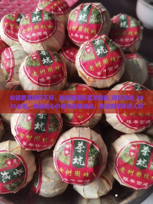 松德普洱茶好不好
