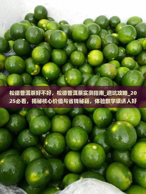 松德普洱茶好不好