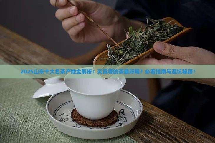 山东十大名茶都是哪的