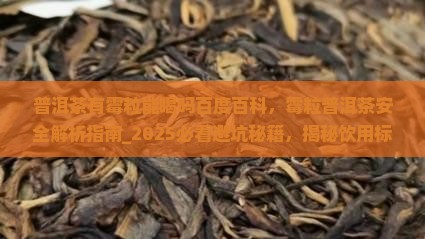 普洱茶有霉粒能喝吗百度百科