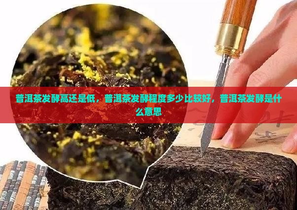 普洱茶发酵高还是低