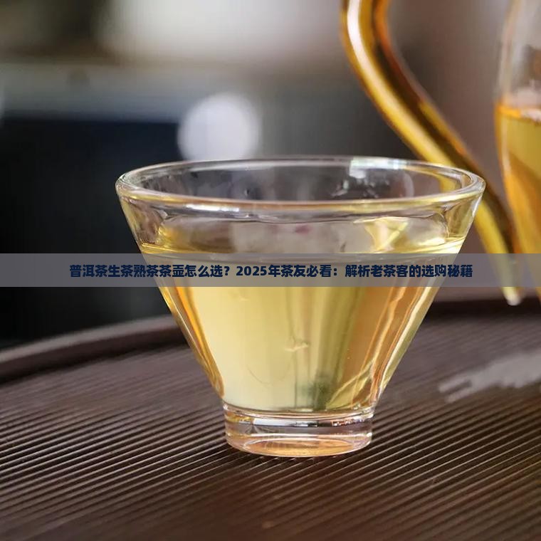 普洱茶生茶熟茶茶壶