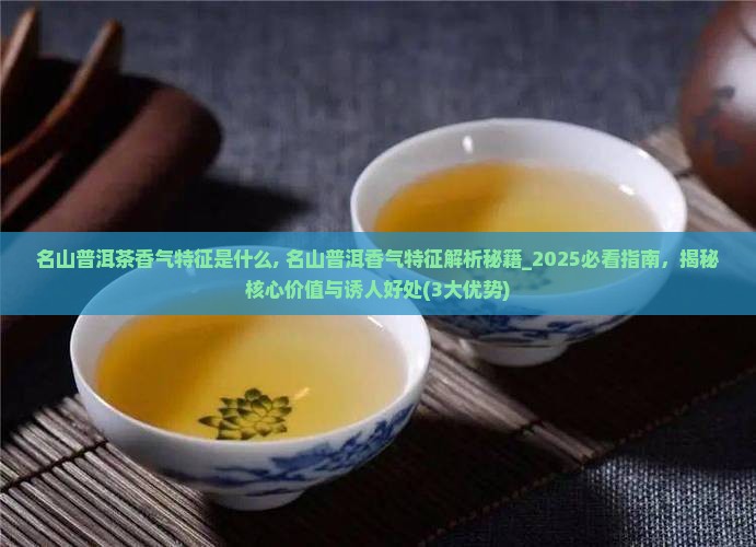 名山普洱茶香气特征是什么