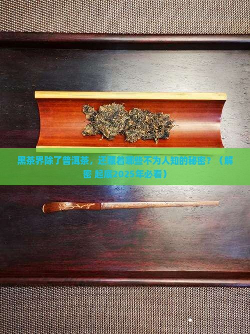 黑茶除了普洱茶还有啥