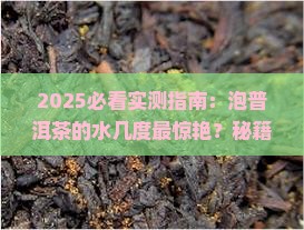泡普洱茶的水几度合适