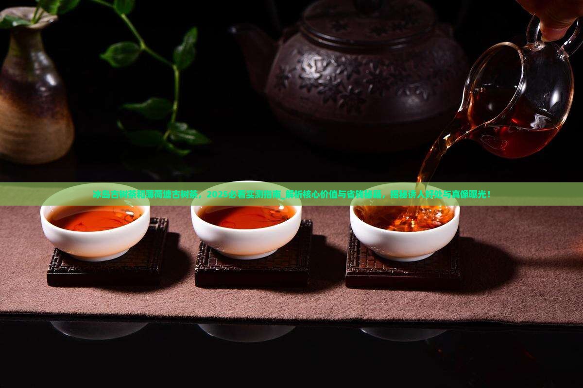 冰岛古树茶和薄荷塘古树茶