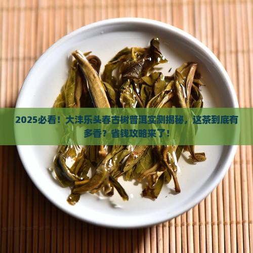 大沣乐头春古树普洱