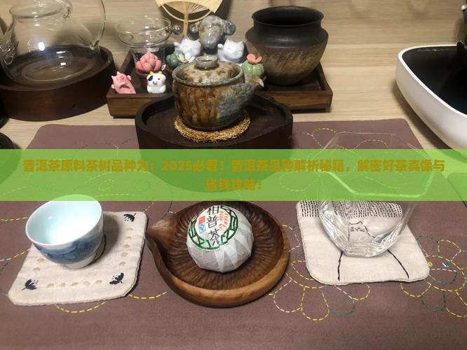 普洱茶原料茶树品种为
