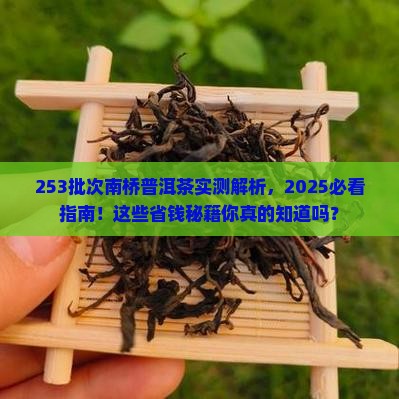 253批次南桥普洱茶