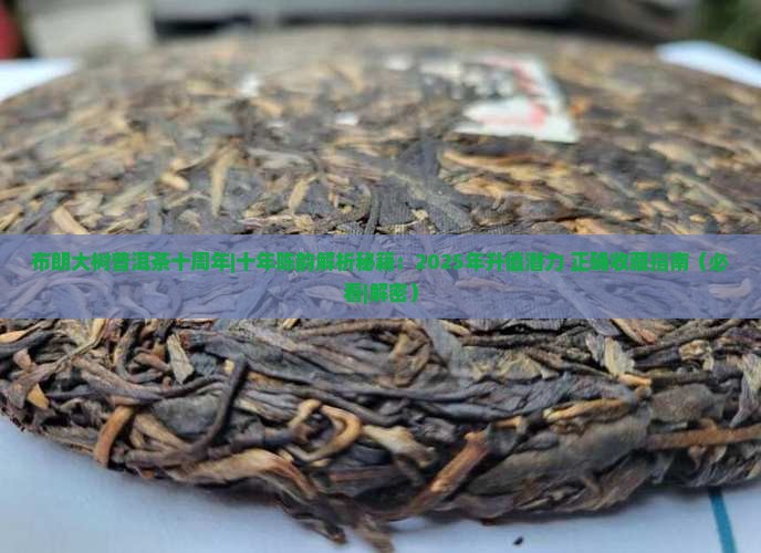 布朗大树普洱茶十周年