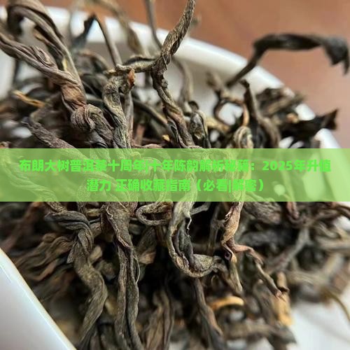 布朗大树普洱茶十周年