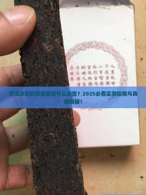 普洱茶陈韵是什么意思