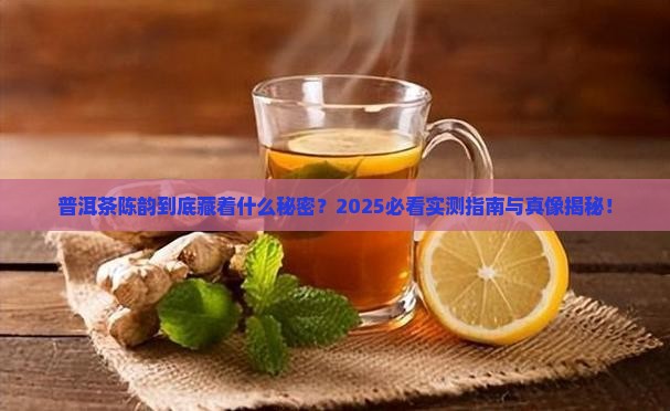普洱茶陈韵是什么意思
