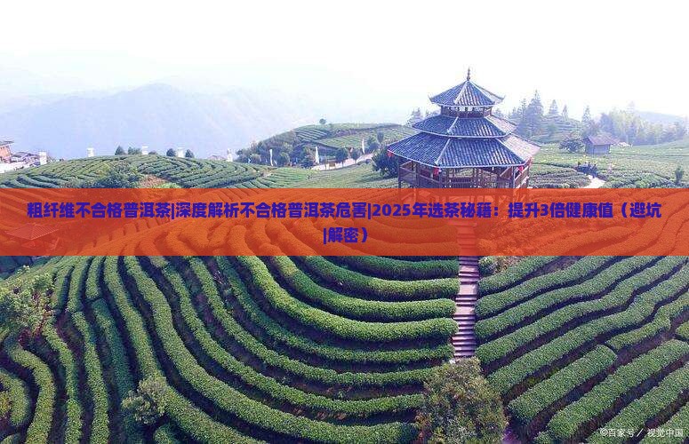 粗纤维不合格普洱茶 粗纤维不合格普洱茶