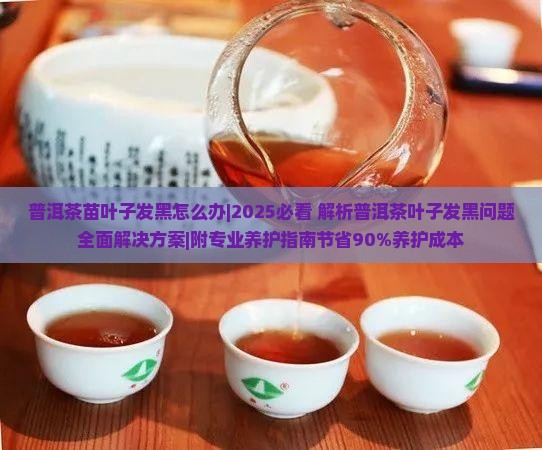 普洱茶苗叶子发黑怎么办 普洱茶苗叶子发黑怎么办