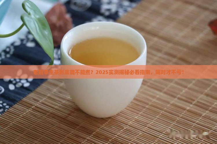 老班章生茶可以煮吗