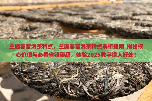 兰庭春普洱茶特点