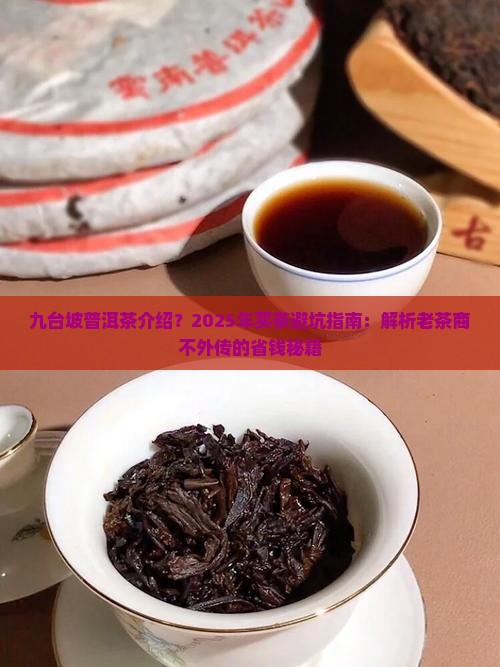 九台坡普洱茶介绍