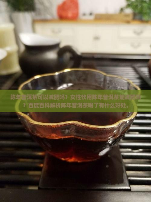 陈年普洱茶可以减肥吗