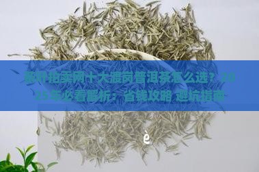 茶叶拍卖网十大渡岗普洱茶 茶叶拍卖网十大渡岗普洱茶