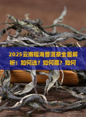 云南福海普洱茶