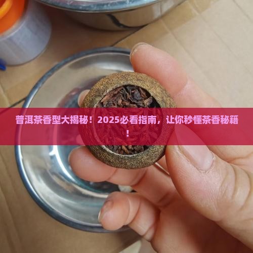普洱茶常见香型