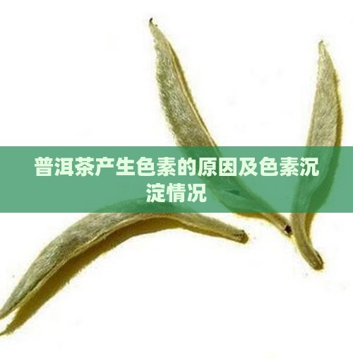 普洱茶产生色素