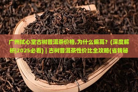 广州拭心堂古树普洱茶价格